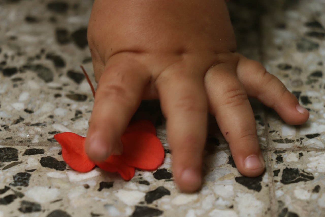 Mano de bebé tocando una flor sobre el suelo