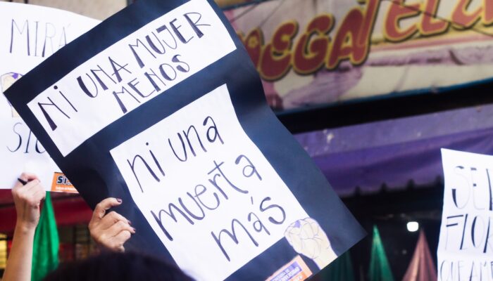 femicidio analía ovando